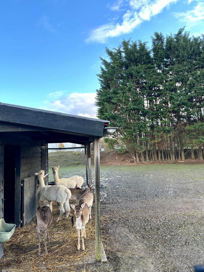 Chalet Sirun Strandcamping Valkenisse, Biggekerke ภายนอก รูปภาพ